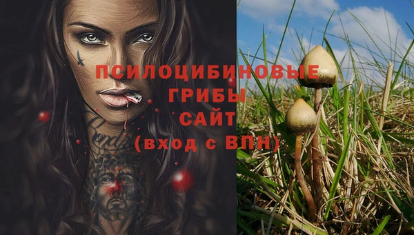 СК Бородино
