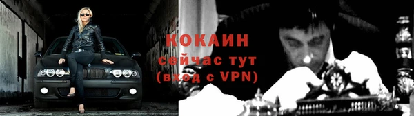 СК Бородино
