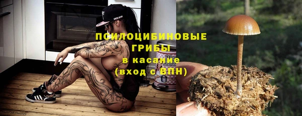 СК Бородино