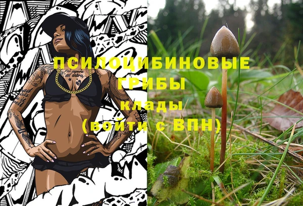 а пвп мука Бронницы